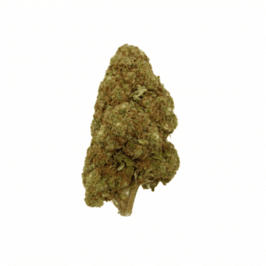 Grossiste Fleurs CBD – Amnesia - Glass-house