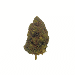 Grossiste - Durban Poison CBD + 10% THCPO - Green-House