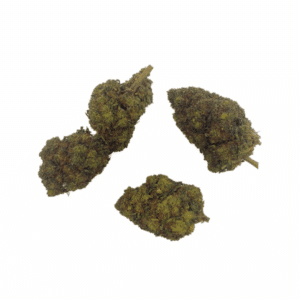 Grossiste - Durban Poison CBD + 10% THCPO - Green-House