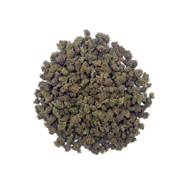 Blue Lobster CBD - Small Bud - Indoor-Hydro