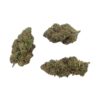 Grossiste Fleurs CBD – Blue Lobster - Indoor Hydro