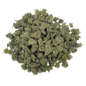 Charlotte’s Angel CBD - Medium Bud - Indoor Hydro