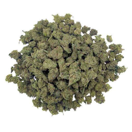 Charlotte’s Angel CBD - Medium Bud - Indoor Hydro