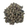 Critical+ 2.0 CBD Medium Bud - Indoor-Hydro