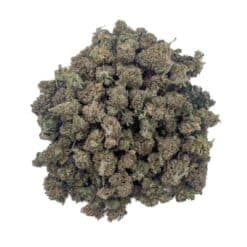 Critical+ 2.0 CBD Medium Bud - Indoor-Hydro