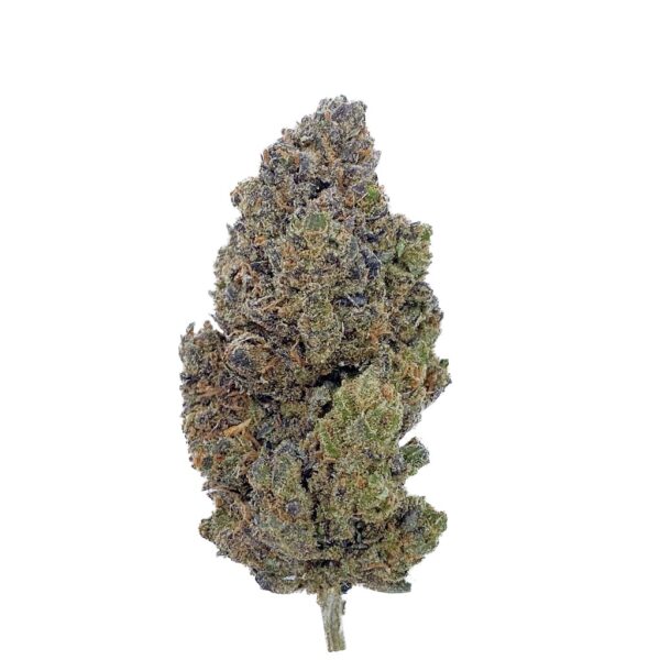 Grossiste - Ice Cream Cake CBD - Big Bud - Indoor Hydro