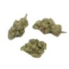 CBD Wholesale - Mango Rainbow CBD - Big Bud - Indoor-Hydro