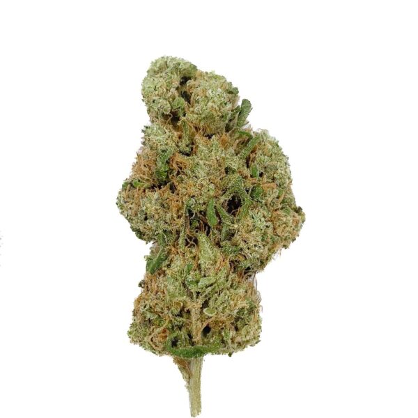 Fleur CBD Mango Rainbow CBD - Big Bud - Indoor-Hydro