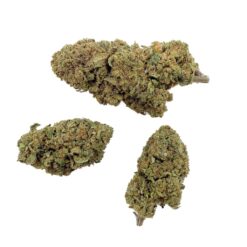 Gelato CBD Flower Wholesale | The CBD Wholesaler