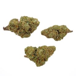 Wholesale - Forbidden Cookie CBD - Bud Mix - Indoor-Hydro