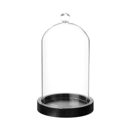 Grossiste - Cloche Verre décorative avec support noir - 19cm