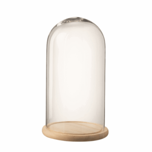 Grossiste - Cloche transparente décorative XXL & Support Bois - 27,5 cm