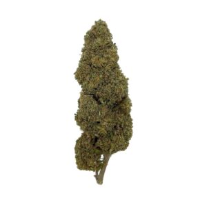 Grossiste - Jack Herer + 20% 10-OH - Bud Mix - Green-House