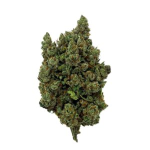 Grossiste - Orange Sherbet + 20% 10-OH - Bud Mix - Indoor-Hydro