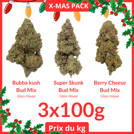 X-MAS PACK #2 - Glass-House