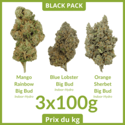 BLACK PACK #1 - Indoor-Hydro