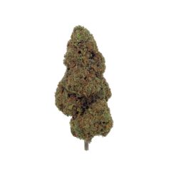 Grossiste - Cali Grape CBD - Bud Mix - Glass-House