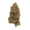 Grossiste - Critical - Bud Mix - Green-house