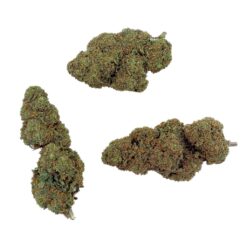 Grossiste - Cali Grape CBD - Bud Mix - Glass-House