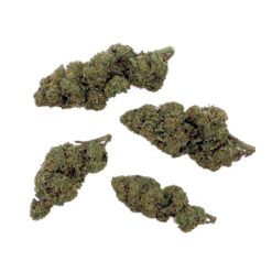 Grossiste - Candy Kush CBD - Bud Mix - Glass-House