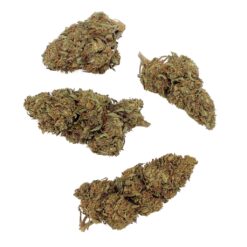 Grossiste - Critical - Bud Mix - Green-house