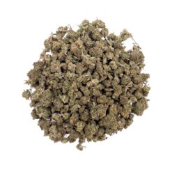 Grossiste Fleur - Critical+ 2.0 CBD - Small Bud - Indoor-Hydro