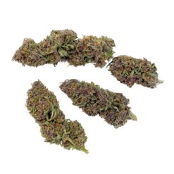 Grossiste – Purple Haze CBD - Bud Mix - Green-House