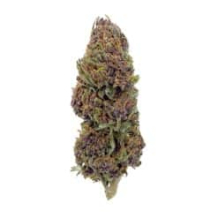 Grossiste – Purple Haze CBD - Bud Mix - Green-House