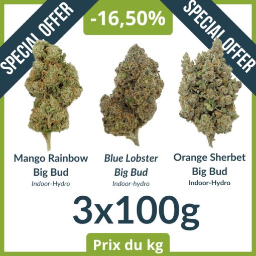 SOLDE PACK #1 - Indoor-Hydro