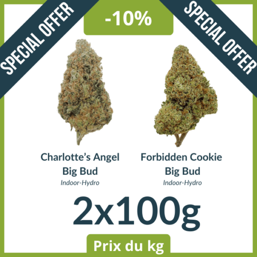 SOLDES PACK #2 - Indoor-Hydro