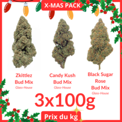 X-MAS PACK #6 - Glass-House