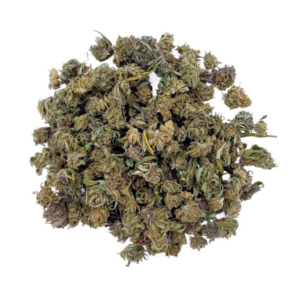 Achat en gros Blueberry Diesel CBD - Small Bud - Green-house