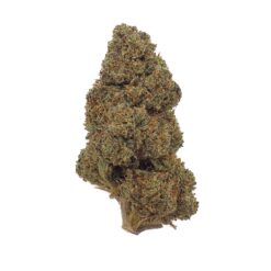 Wholesaler - Bubba Kush - 30% CBN - Bud Mix - Glass-House