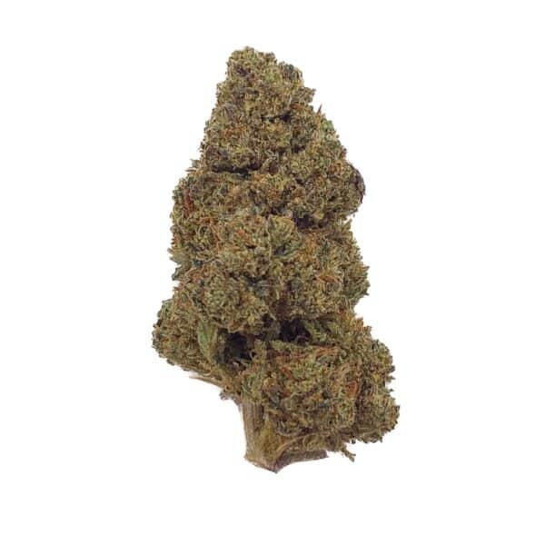 Grossiste Fleur CBD Bubba Kush - 30% CBN - Bud Mix - Glass-House