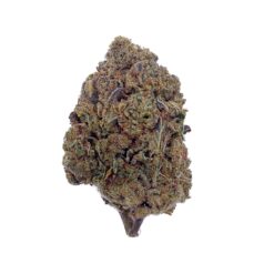 Grossiste - Harlequin + 20% 10-OH - Bud Mix - Indoor-Hydro