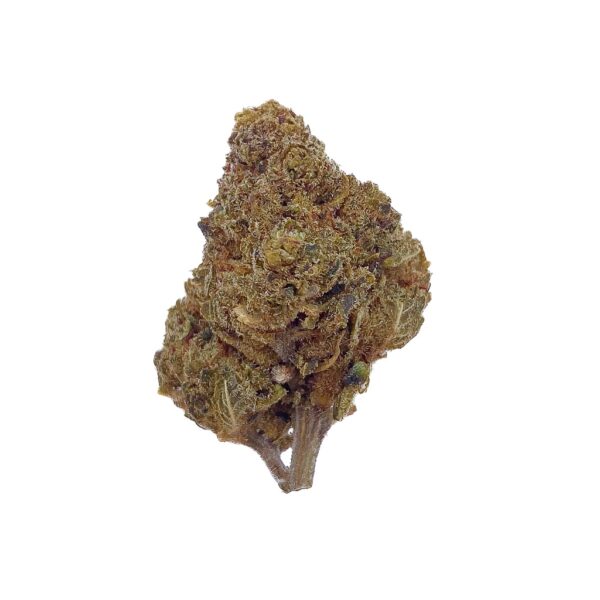 Grossiste Fleur CBD Harlequin - 30% CBN - Bud Mix - Indoor
