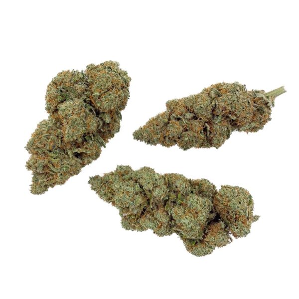 Grossiste – Lemon Skunk CBD - Bud Mix - Indoor Hydro