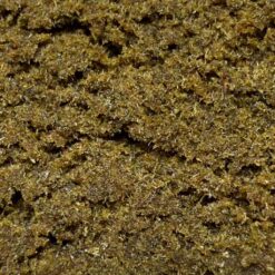 Grossiste - Triple Zero - 30% THCX 2.0 - Spliff ®