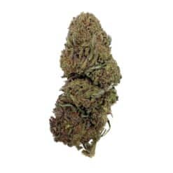 Grossiste Fleur CBD Jack Herer THCX - Bud Mix - Green-House