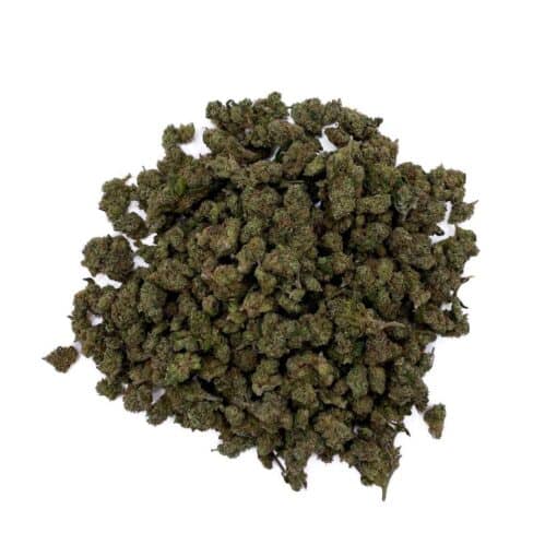 Grossiste Fleur CBD Super Skunk THCX - Small Bud - Glass-House