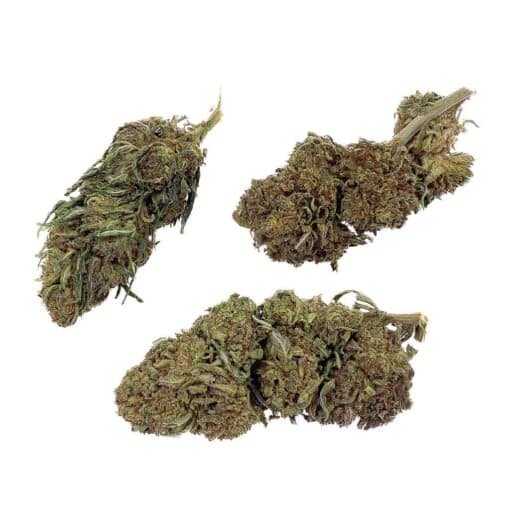Jack Herer THCX - Bud Mix - Green-House – Image 2