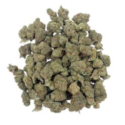 Grossiste CBD Lemon Skunk CBD - Medium Bud - Indoor-Hydro