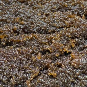 Grossiste resine CBD - Népalais THCX 2.0 - Spliff ®