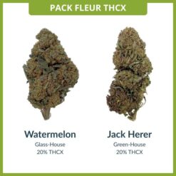 Pack Fleurs THCX 2.0