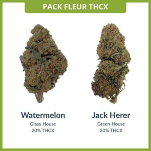 Pack Fleurs THCX 2.0