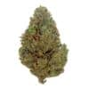 Charlotte's Angel CBD + 20% THCX 2.0 - Big Bud - Indoor Hydro