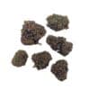Black Sugar Rose THCX 2.0 - Bud Mix - Glass-House