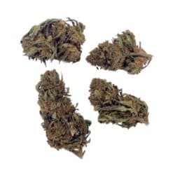 Grossiste Fleur Skunk CBD Bud Mix Green House