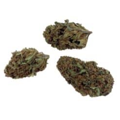 Grossiste - Zkittlez CBD - Bud Mix - Green-house