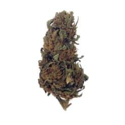 Super Skunk CBD - Bud Mix - Green-House